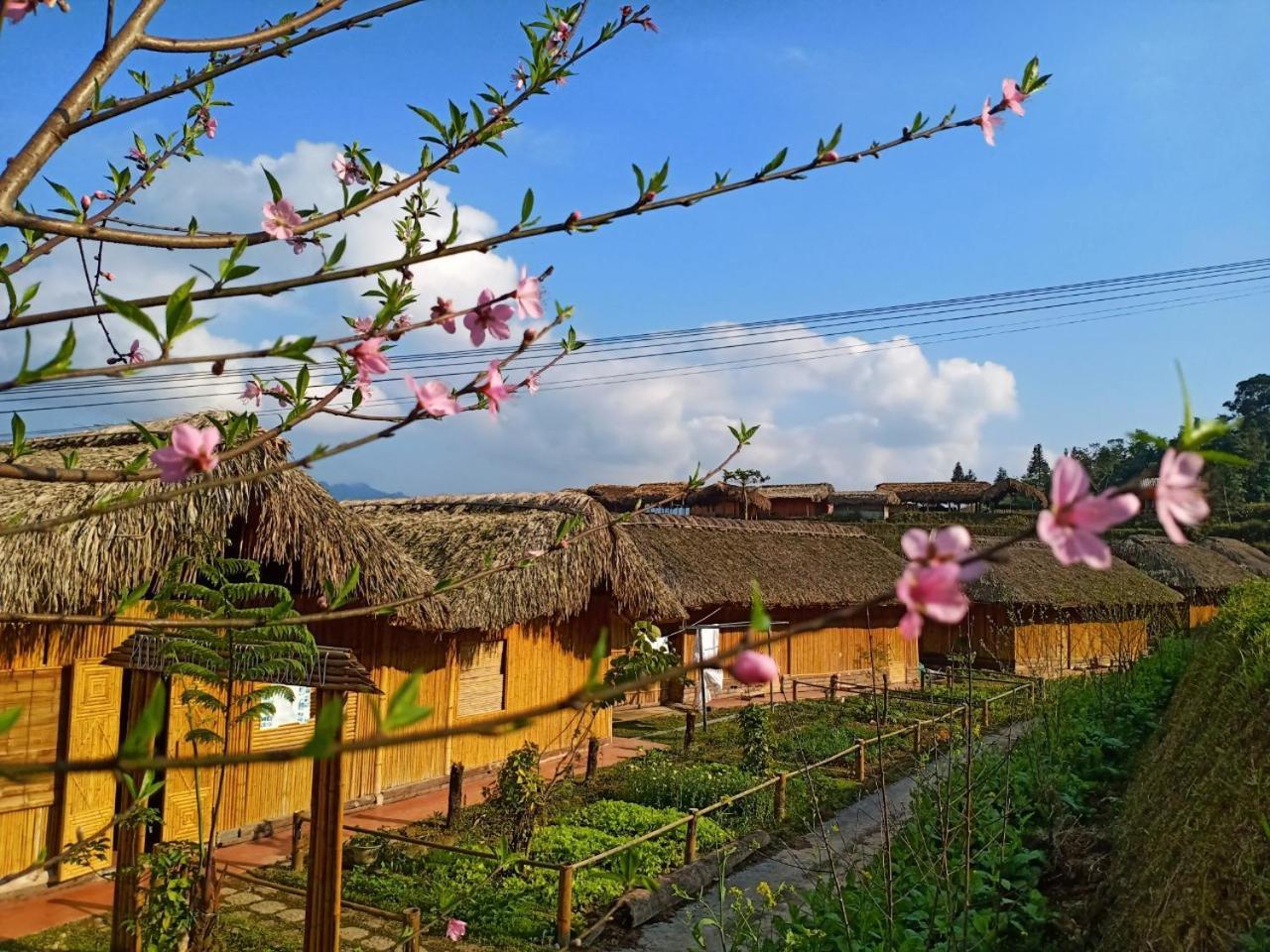Dao Homestay Hoang Su Phi Dış mekan fotoğraf